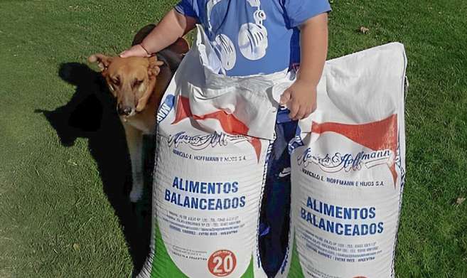 Una solución contra los orines de perro en Illescas, Actualidad