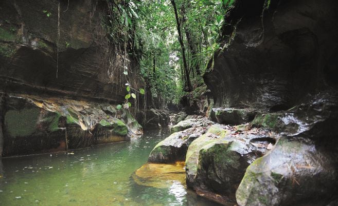 La Fundación Afrocaq, el Observatorio Ambiental y de Paz de Caquetá y la ONG Amazona presentaron tres tutelas para salvar los ríos más importantes de ese departamento: el Caguán, el Pescado y el Caquetá. 