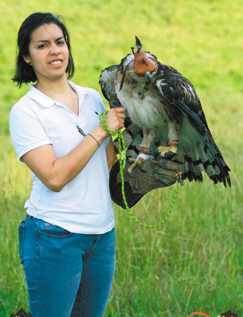 La colombiana que busca proteger al águila real de montaña | EL ESPECTADOR