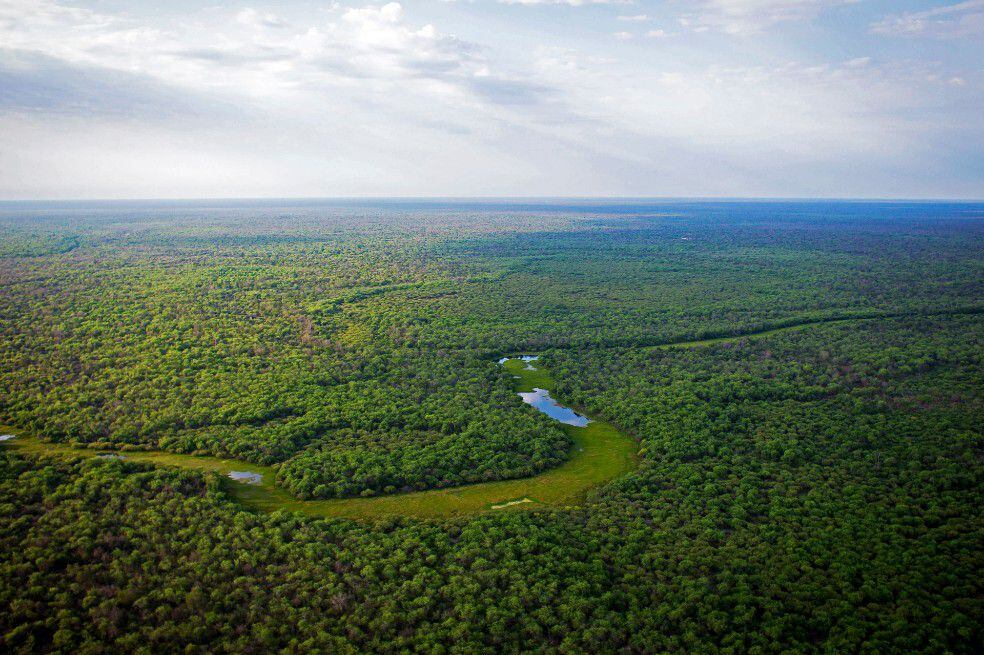 Deforestaci n en el Gran Chaco la bomba de carbono que el mundo