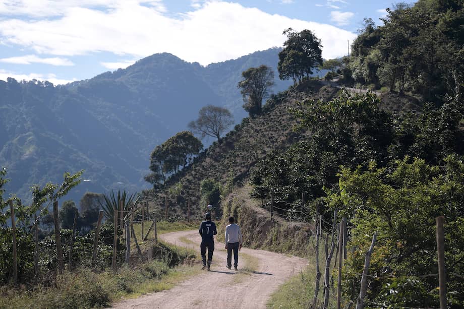 La jornada de formación y capacitación fue llevada a cabo por  las cámaras de comercio de Bogotá, Medellín y Cali, con el apoyo del Programa Justicia Inclusiva de Usaid. 