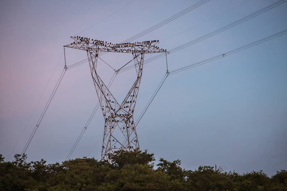 Las líneas de transmisión del proyecto Colectora servirán para "sacar" la energía eólica de La Guajira y llevarla al resto del país.
