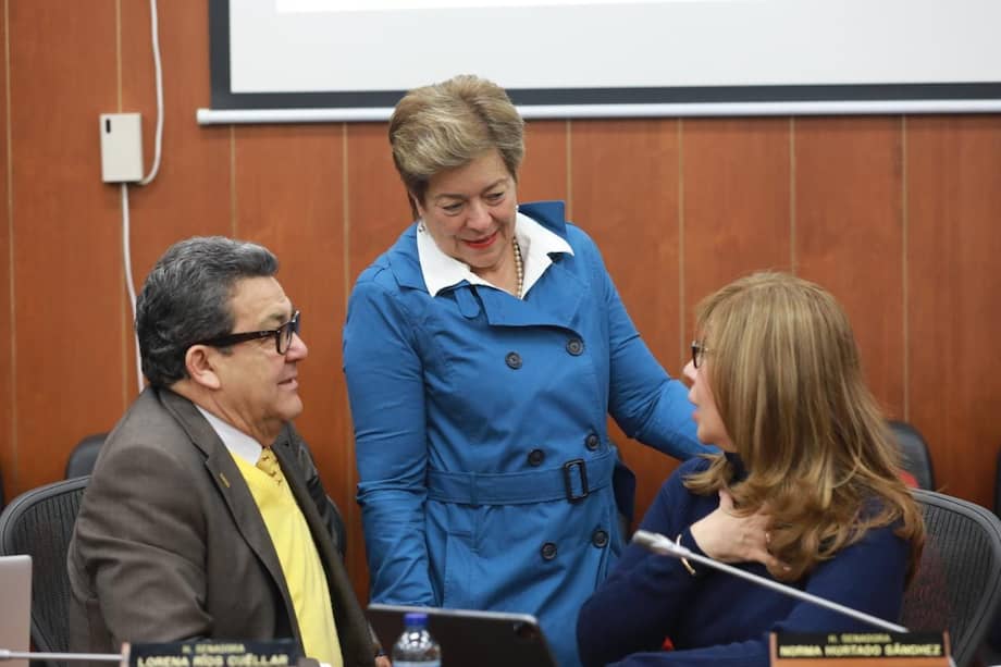 La senadora Norma Hurtado (Partido de la U) es coordinadora ponente de la reforma pensional.