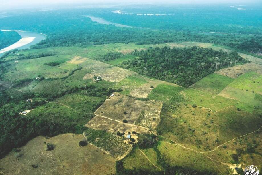La Amazonia sigue siendo la región con la mayor concentración y número de núcleos de deforestación./ Fundación para la Conservación y el Desarrollo Sostenible.