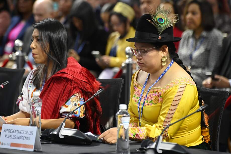 Patricia Torres es la coordinadora de la Coalición de Naciones y Organizaciones Indígenas ante la Asamblea General OEA.