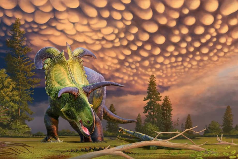 Reconstrucción de 'Lokiceratops' en los pantanos de hace  78 millones de años del norte de Montana, EE.UU