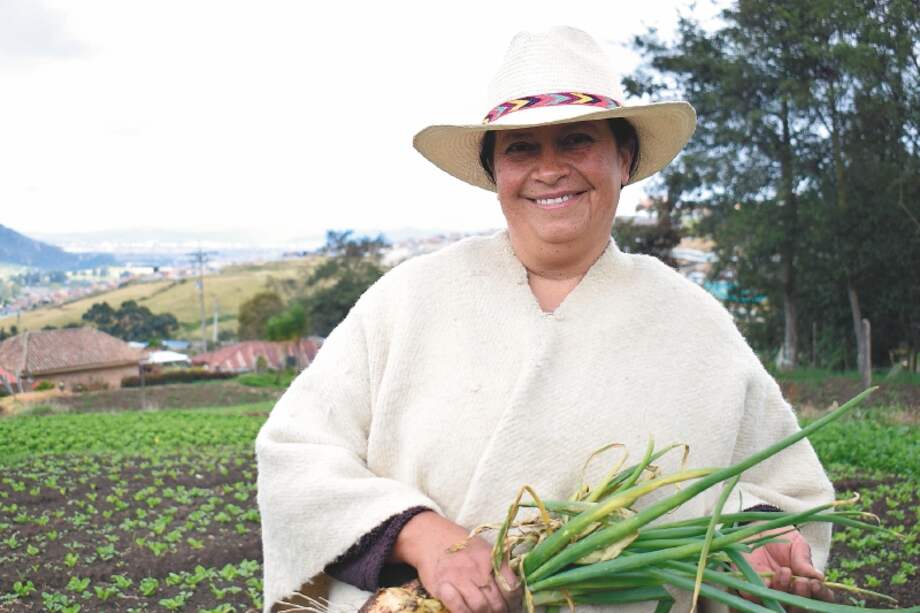 Según el DANE, hay más de 15 millones de campesinos reconocidos como tal en Colombia.