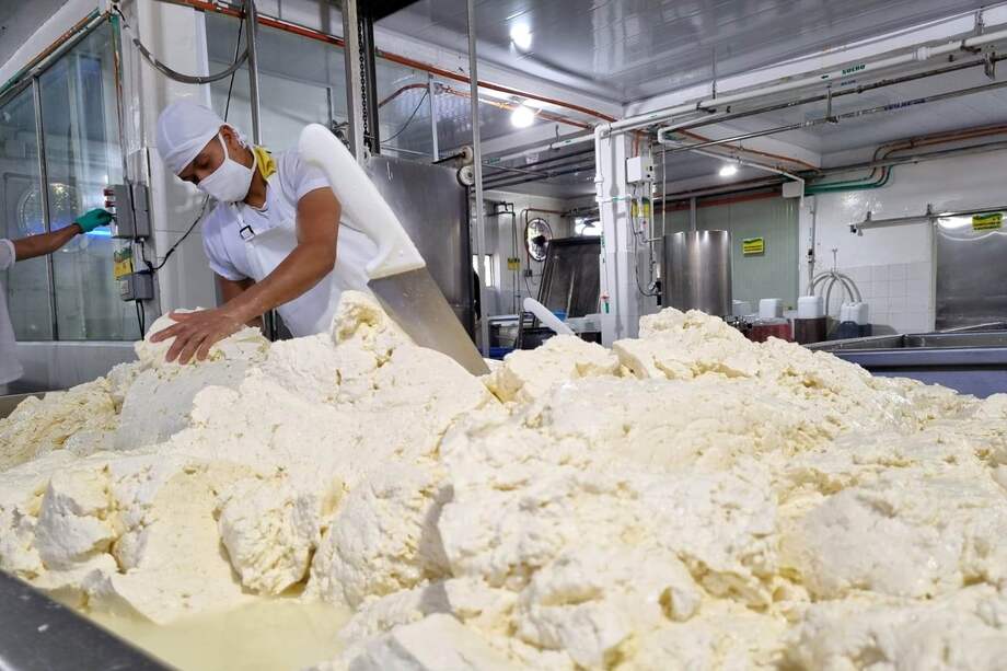 El 50 % de la producción del queso en Caquetá se hace de manera informal.