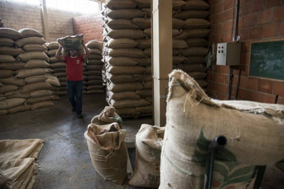 Exportación de café de nueve países de América Latina cae 6,13%