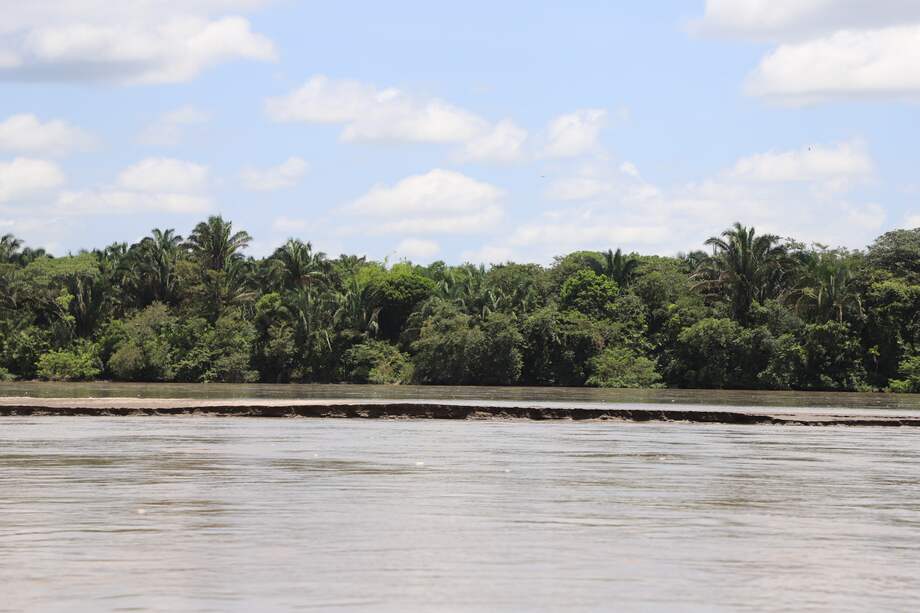 La cuenca del Río Cravo Sur es una de las que más presencia de cultivos registra./ Foto Cristhian Aguirre H, TNC Colombia
