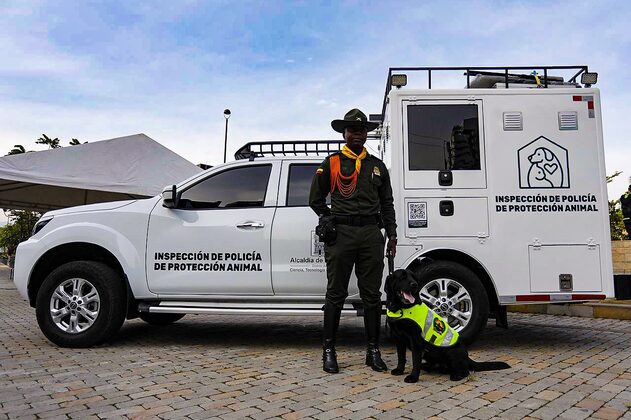 Medellín contará con una patrulla para atender casos de maltrato animal