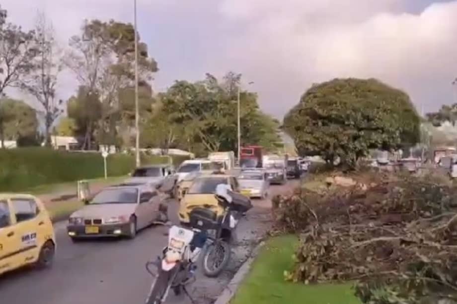 El árbol que cayó en la Av. Mutis con carrera 68 fue retirado de la vía por el Cuerpo de Bomberos de Bogotá. El tráfico regresó a la normalidad.