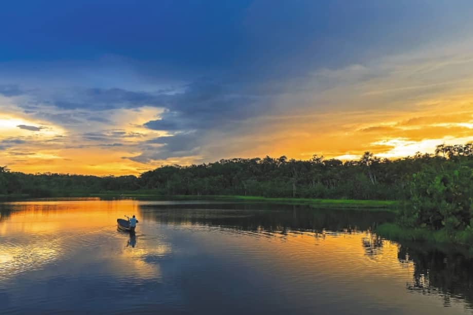 La actividad humana ha afectado los ciclos hídricos de la Amazonia, aumentando los períodos de lluvias y de sequías.  