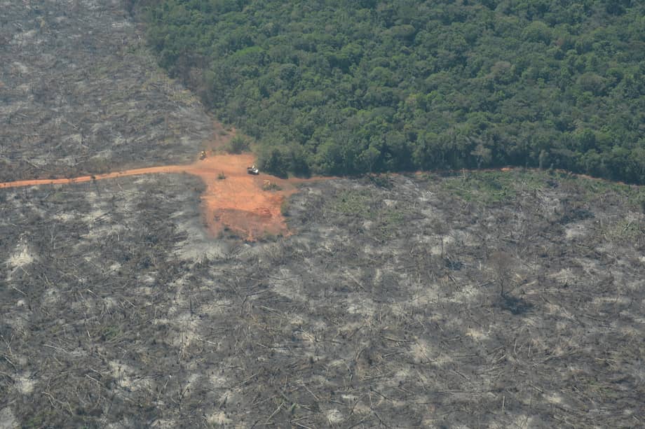 Imágenes de la deforestación en el Parque Nacional Natural Serranía de Chiribiquete.