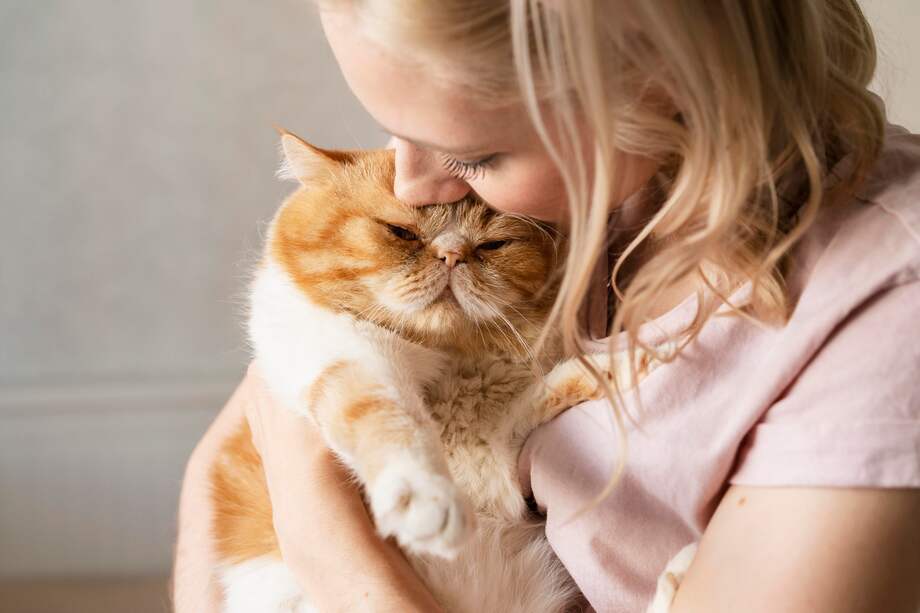 Adoptar un gato, además de un acto de amor, también es adentrarse en un nuevo mundo. 