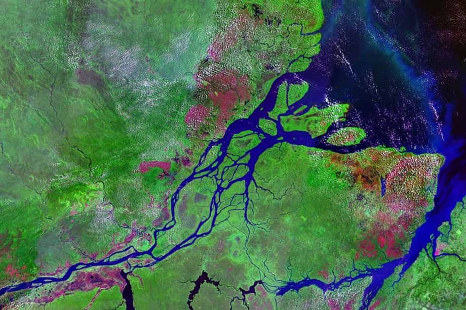 Desembocadura del Amazonas. / Wikipedia.