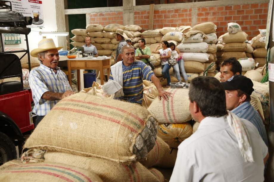 Entre los cinco sectores más beneficiados son la ganadería, el café, el arroz, la caña de azúcar y la avicultura.