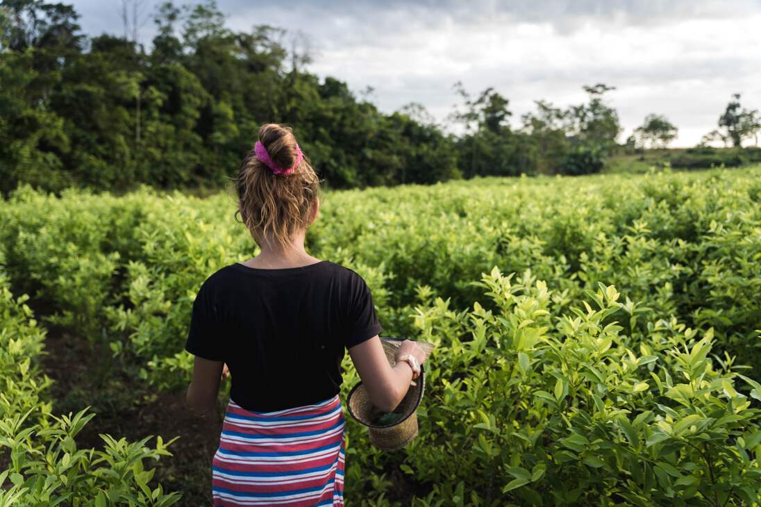 Una niña de 12 años migrante venezolana camina por en medio de los cultivos de coca en una vereda de Tibú (Norte de Santander). Toda su familia cruzó la frontera desde Venezuela para vivir de la coca en Colombia. Algunos días, ella entra a las plantaciones a trabajar como recolectora de hoja de coca.