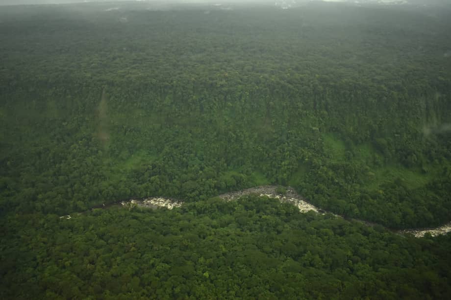 El Santuario de Flora Plantas Medicinales Orito Ingi Ande está ubicado en el piedemonte Amazónico sobre el río Guamuez. /Foto: Parques Nacionales Naturales.