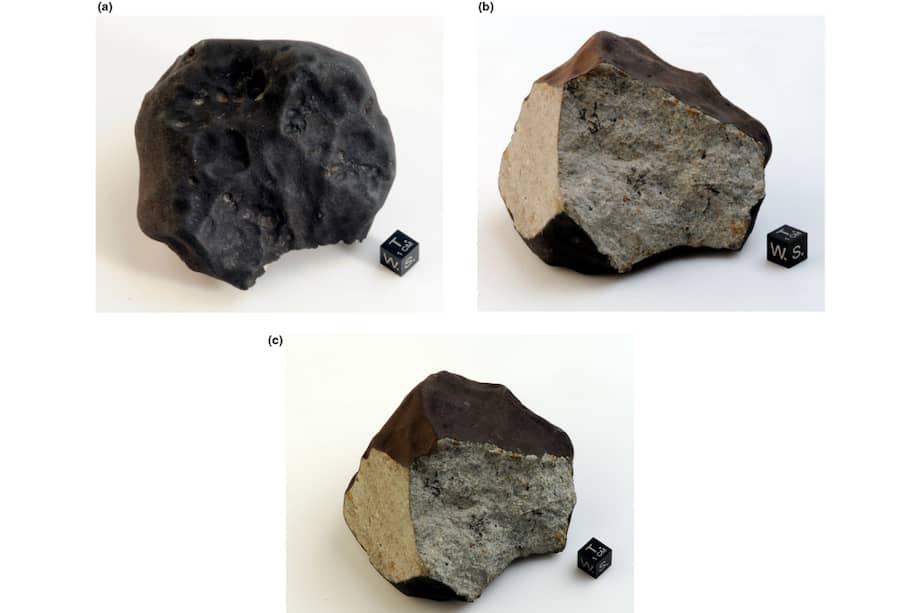 La roca, que resultó ser un meteorito pesaba un kilogramo. -Muestra NHMW-N9269 de la colección del Museo de Historia Natural de Viena.