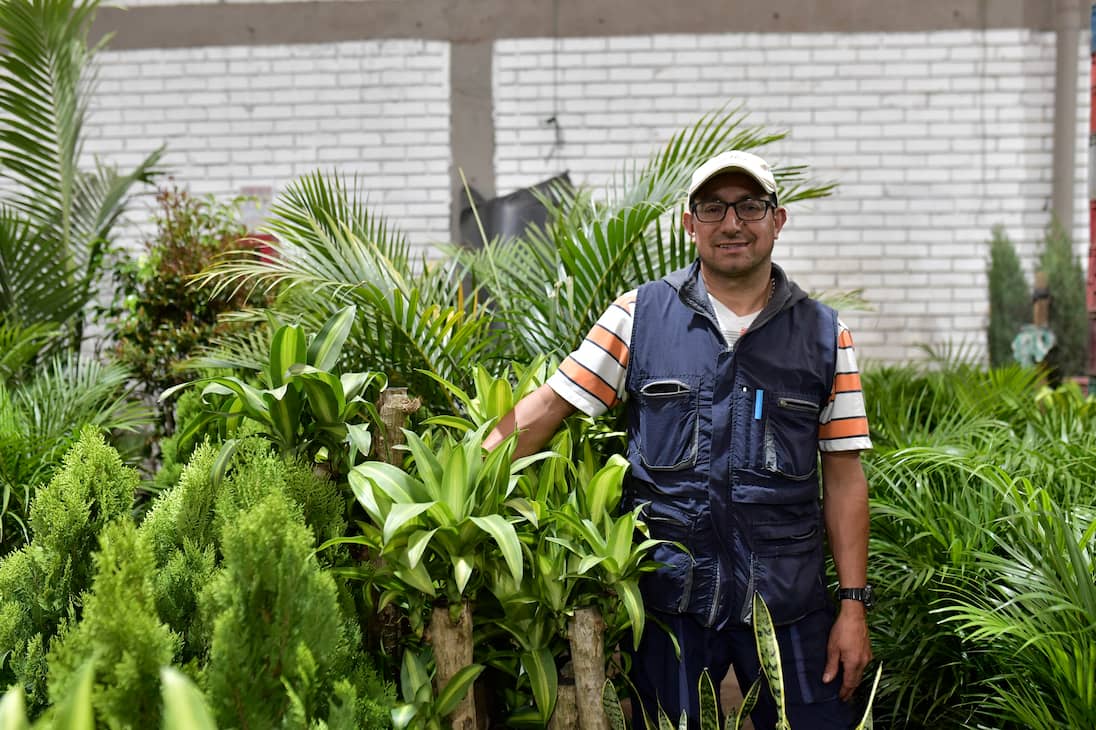 Luis Burgos pertenece al Mercado Nacional de Plantas desde hace 40 años y fue el primero en su familia en vender ahí.