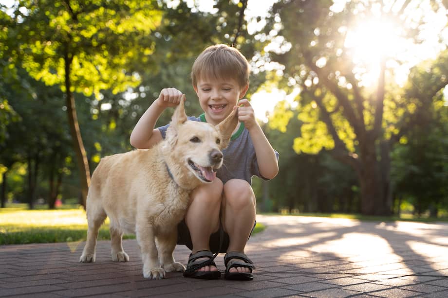 Los perros de esta raza son amigables y tiernos, por lo que suelen agradarle a los niños.
