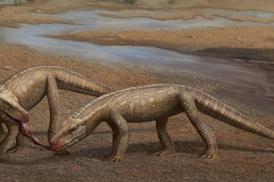 Representación artística del Parvosuchus aurelioi, el pequeño reptil que habitó la Tierra hace más de 200 millones de años. 
