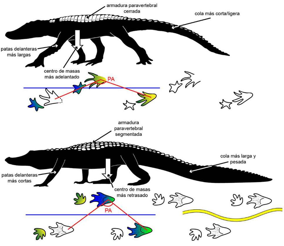 Así eran los cocodrilos que convivieron con los dinosaurios | EL ESPECTADOR